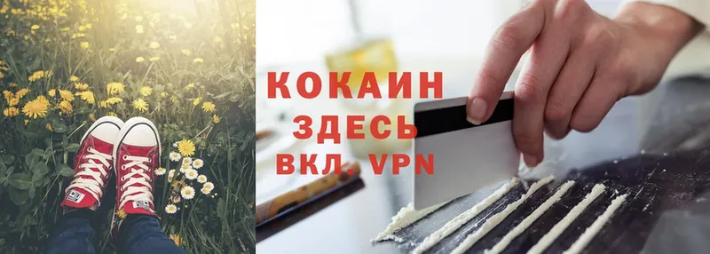 Cocaine Боливия  Кисловодск 